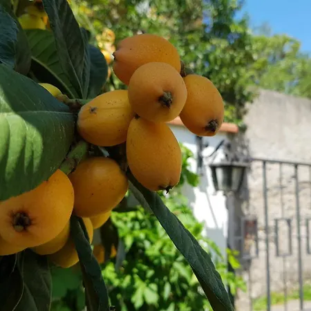 Ca' Do Dria Apartmán *