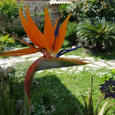 Apartment Ca' Do Dria