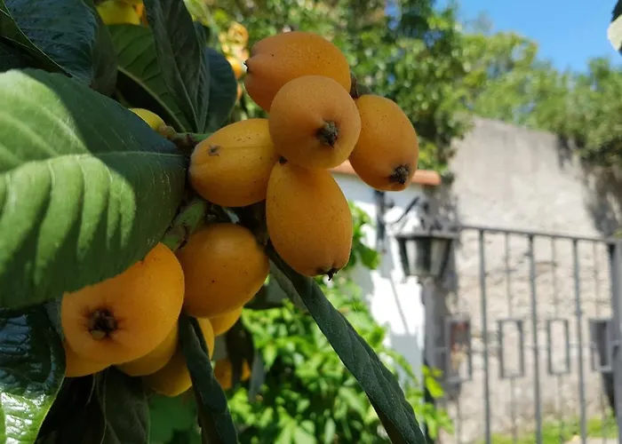 Ca' Do Dria Apartment *