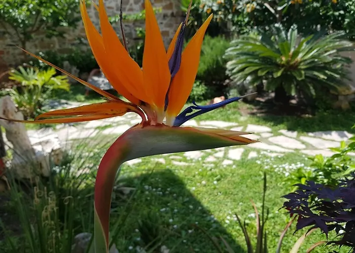 Apartment Ca' Do Dria